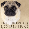 Pet Friendly Lodging, Bring My Pet, pet friendly rooms